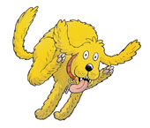 Biff Chip And Kipper Character Library Oxford Owl